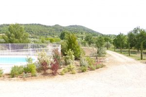 Le jardin et la piscine